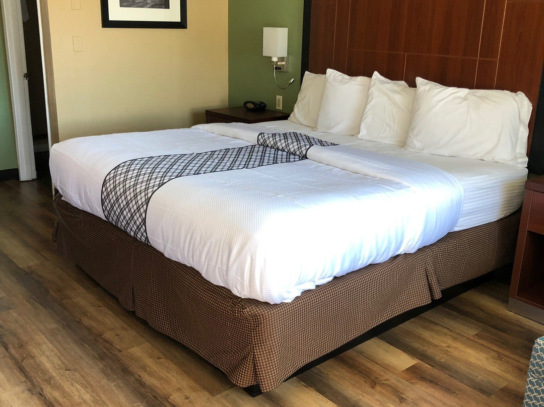 Knight's Inn Motel主图