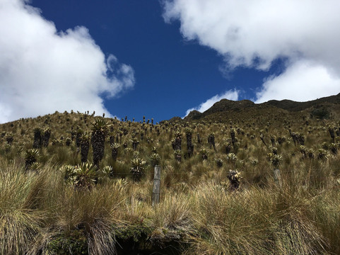 AirNomads Colombia-Manizales必去景点