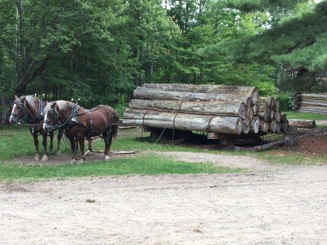 森林历史中心-大急流城必去景点