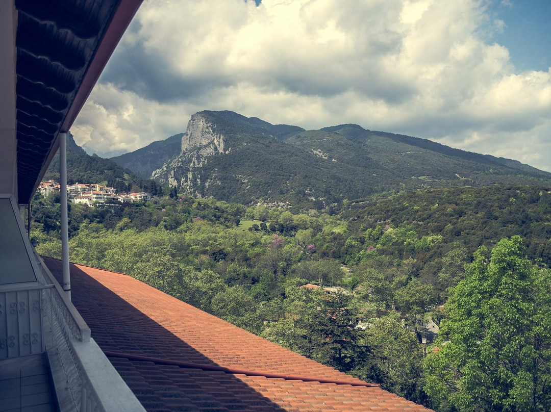 Vrontou酒店住宿-Olympus View