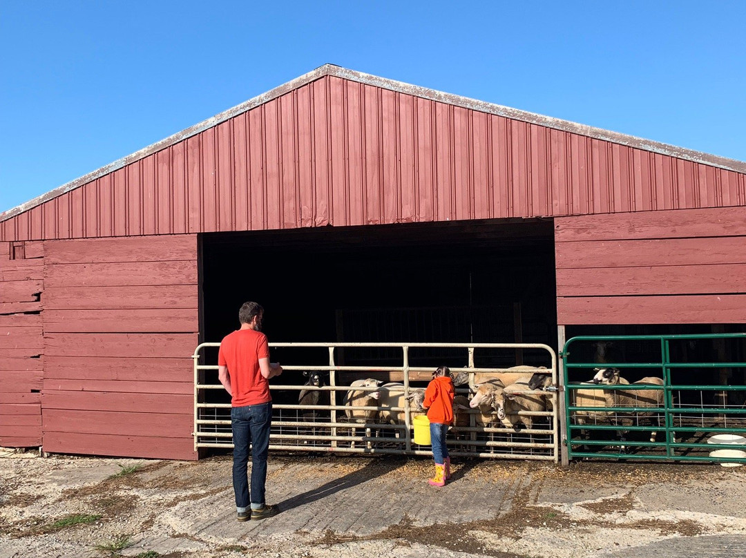 Country Log House Farm Bed and Breakfast主图