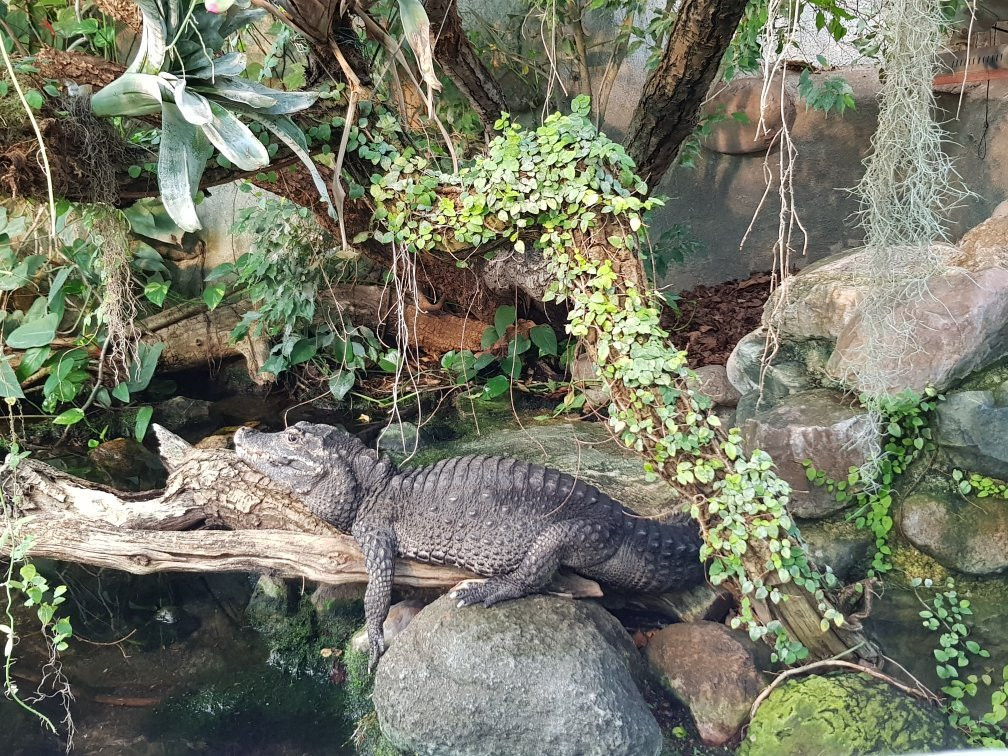 Malmo Reptile Center-马尔默必去景点