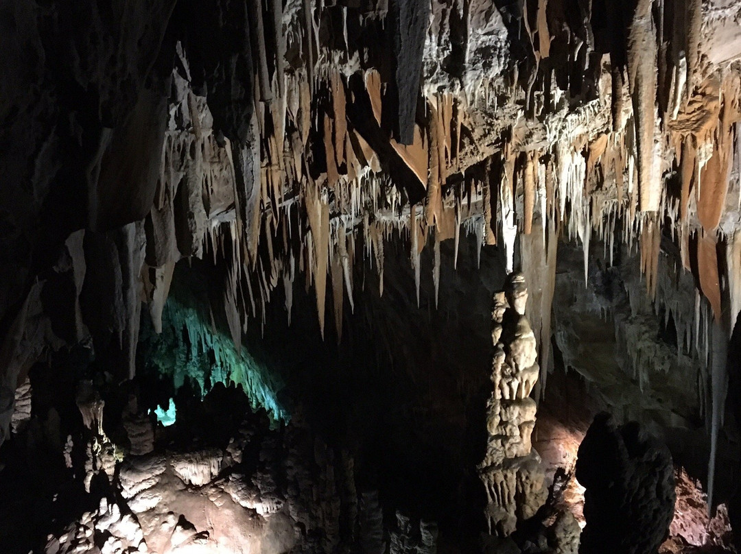 Grotta delle Torri di Slivia景点图片