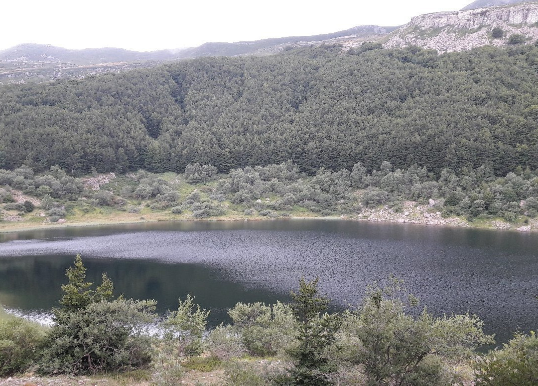 Lago Verde景点图片
