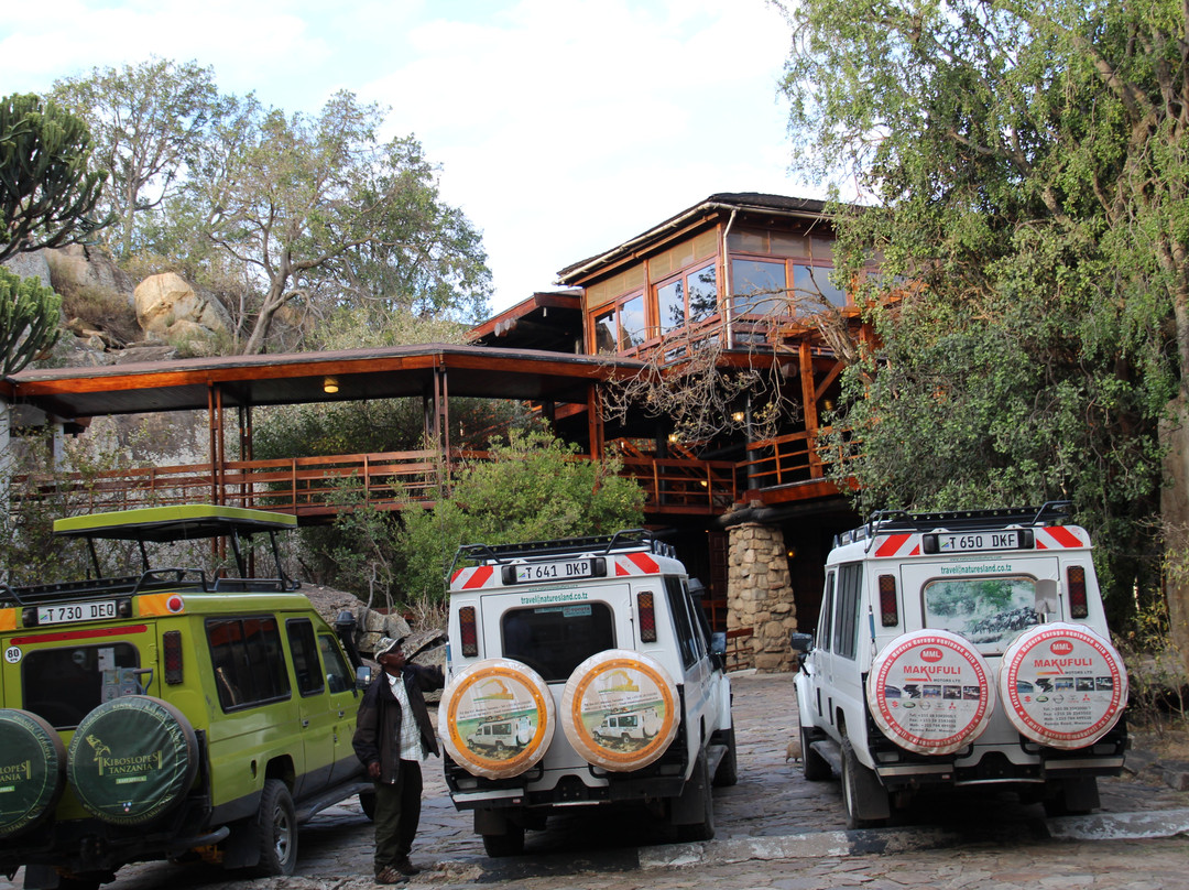 路宝野生动物山林小屋主图