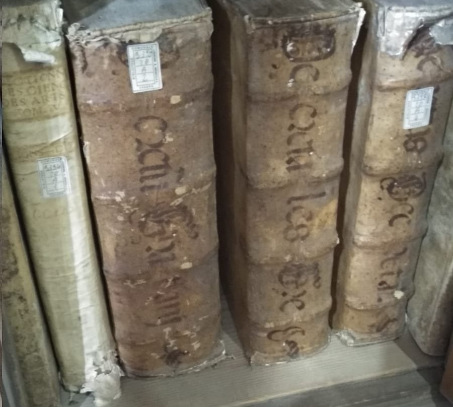 Biblioteca e Museo Comunale Barone Mendola景点图片
