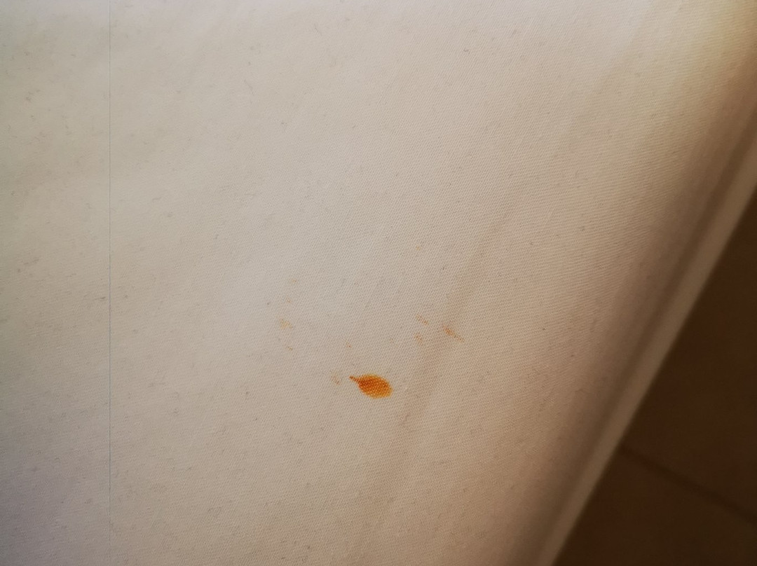 Delta Hotel Apartments主图