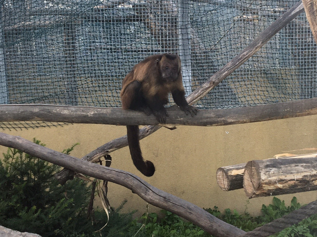Malkia Park- Big Cats Rescue-Orechova Poton必去景点