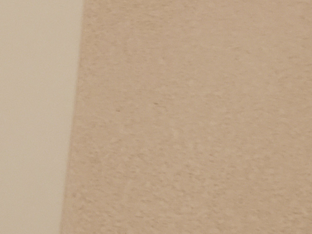 Red Carpet Inn Mayo Clinic主图