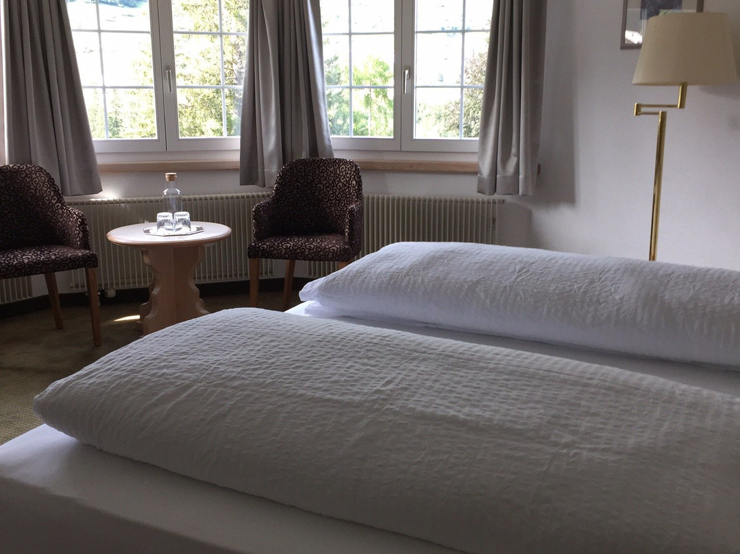 Hotel Villa Post主图