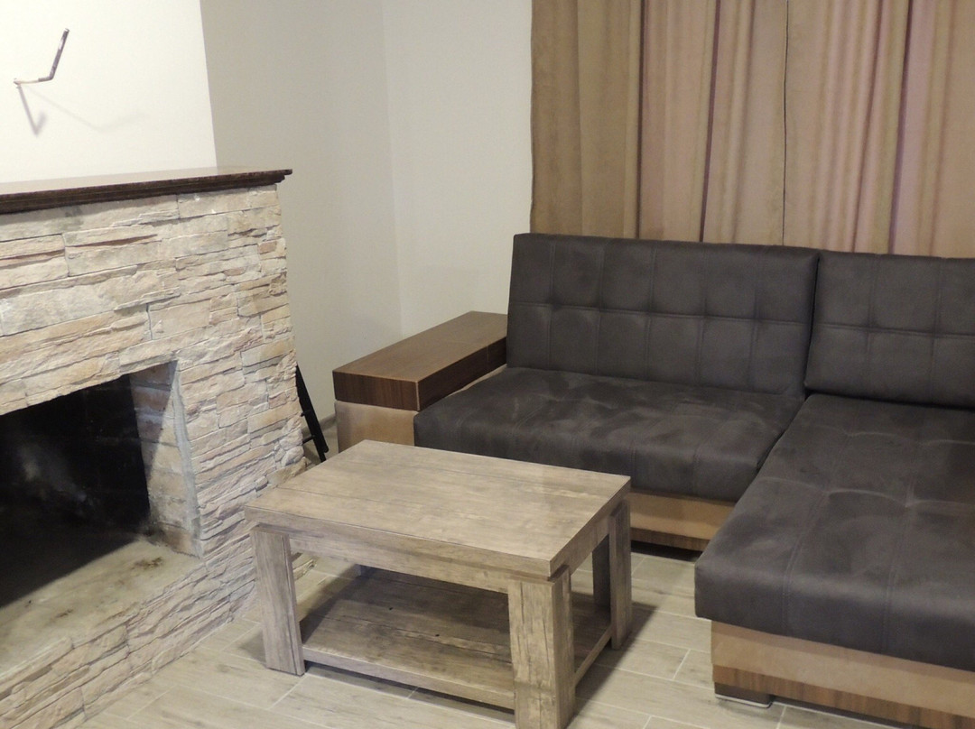 Bakuriani House主图
