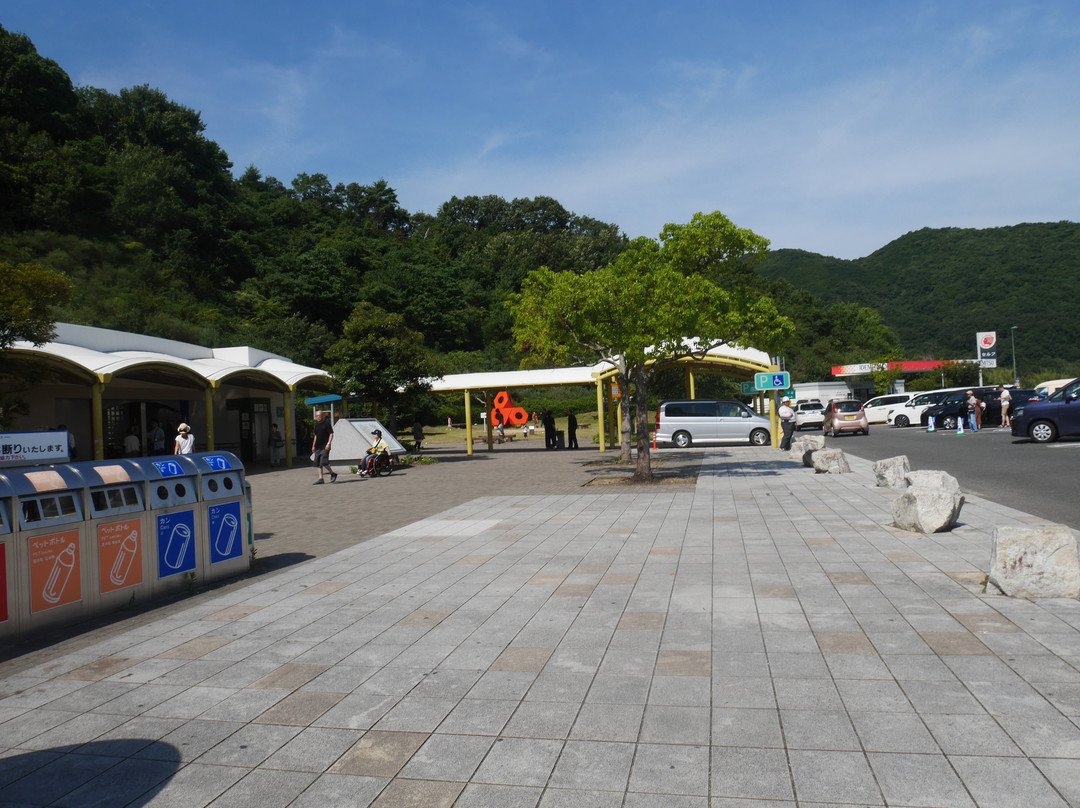 Tsudano Matsubara Service Area Outbound景点图片