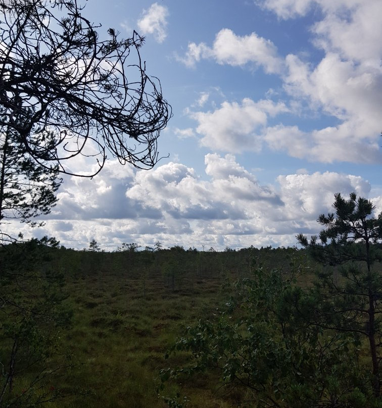 Kurjenrahka National Park-Poytya必去景点