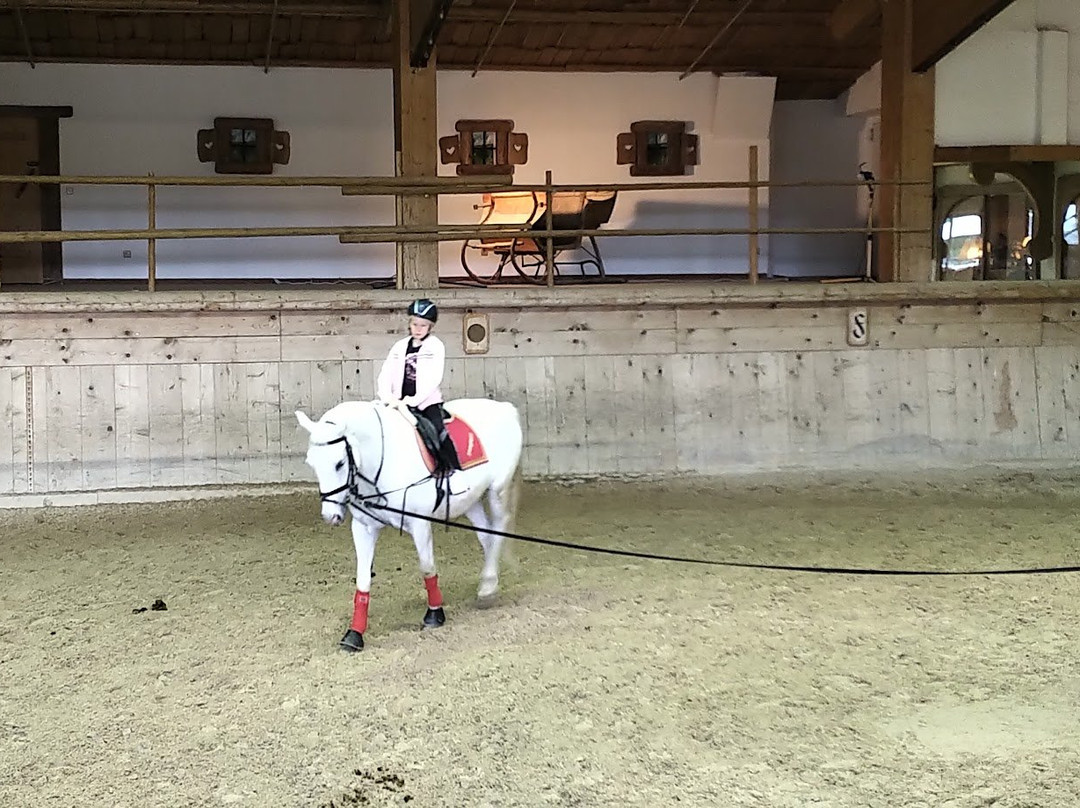 Bio-Hotel Stanglwirt主图