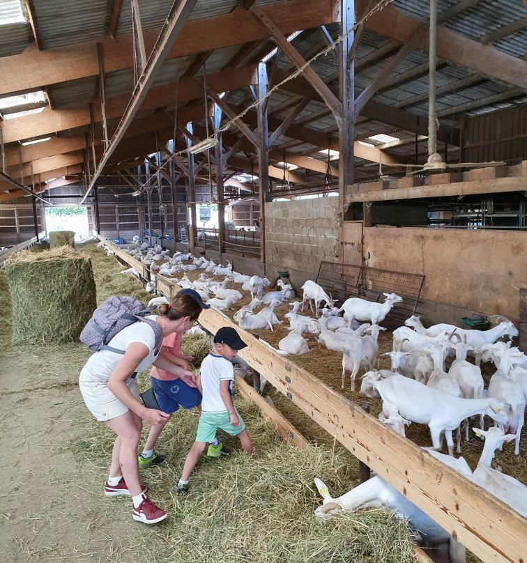 La Ferme des Fillaos-Rouillac必去景点
