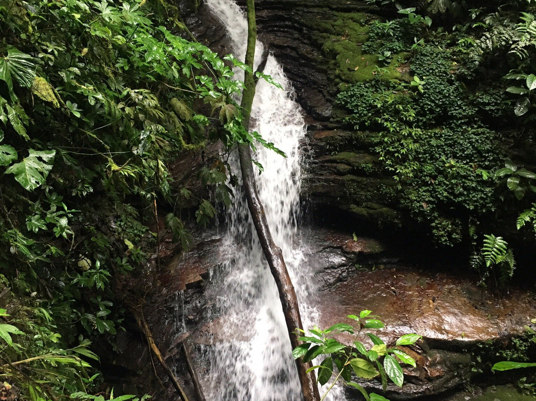 Yantzaza-Zamora必去景点