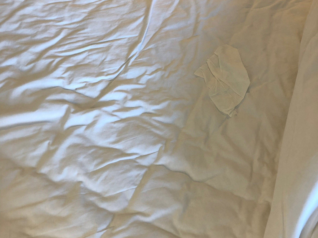 Comfort Inn & Suites East Greenbush - Albany主图