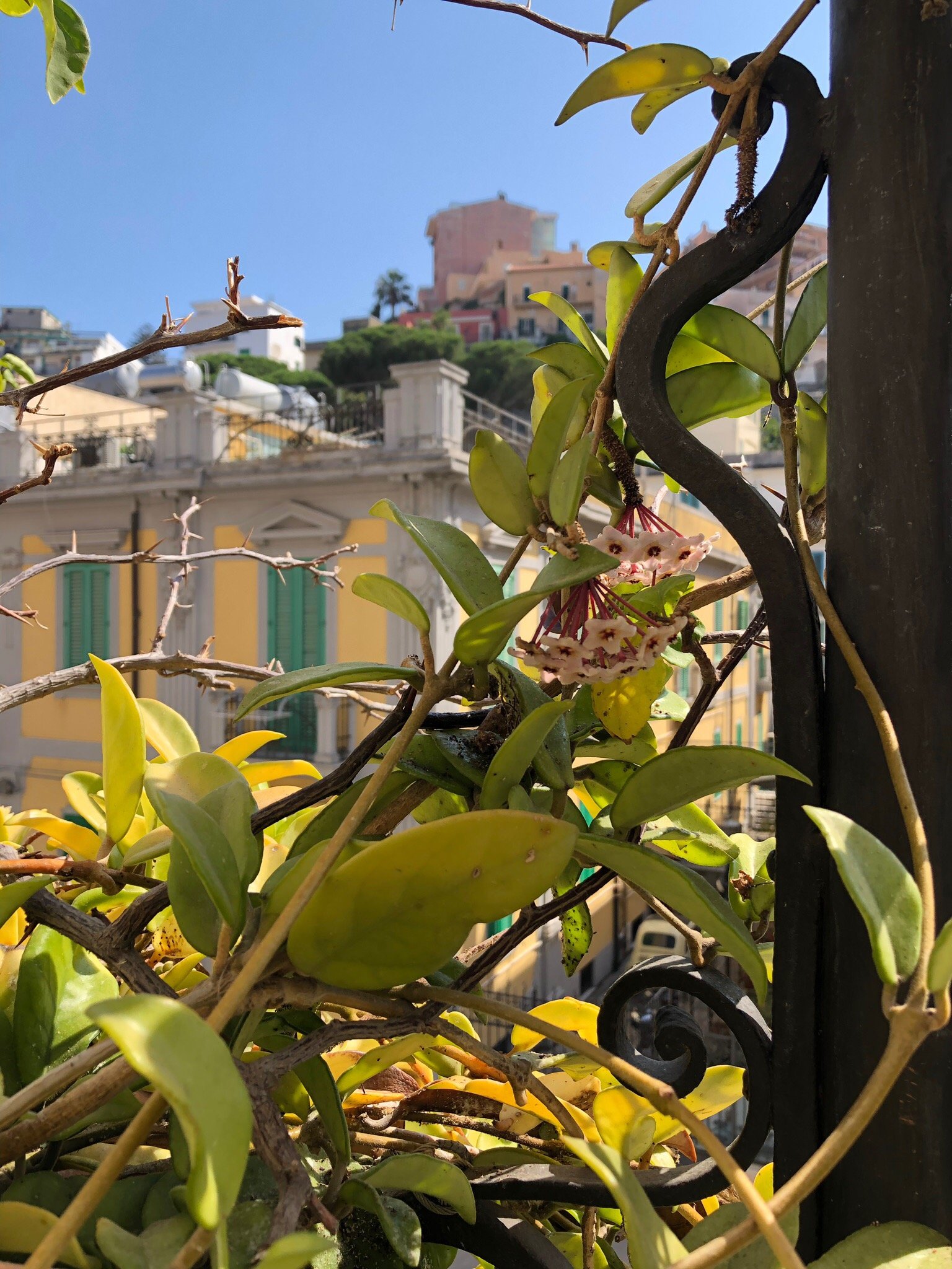 B&B La Casa di Dadda-官方