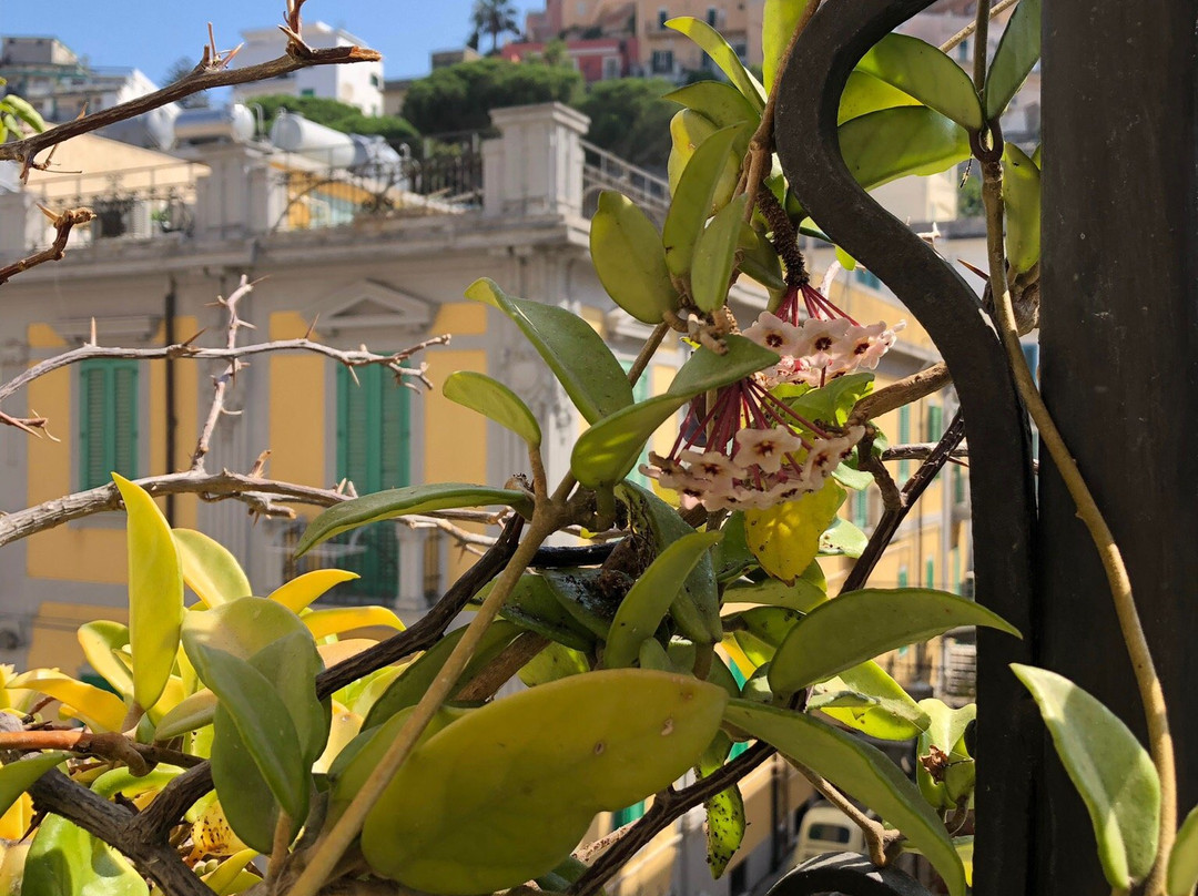 B&B La Casa di Dadda主图