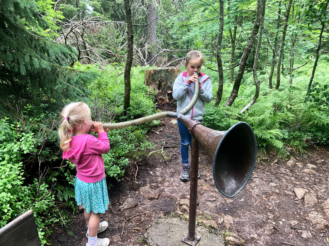 Hotel Feldberger Hof主图