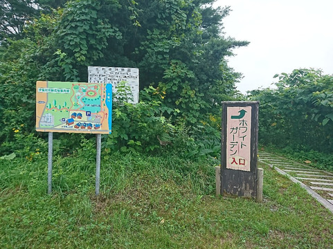 Kobayashi Shuzo Brewery-栗山町必去景点