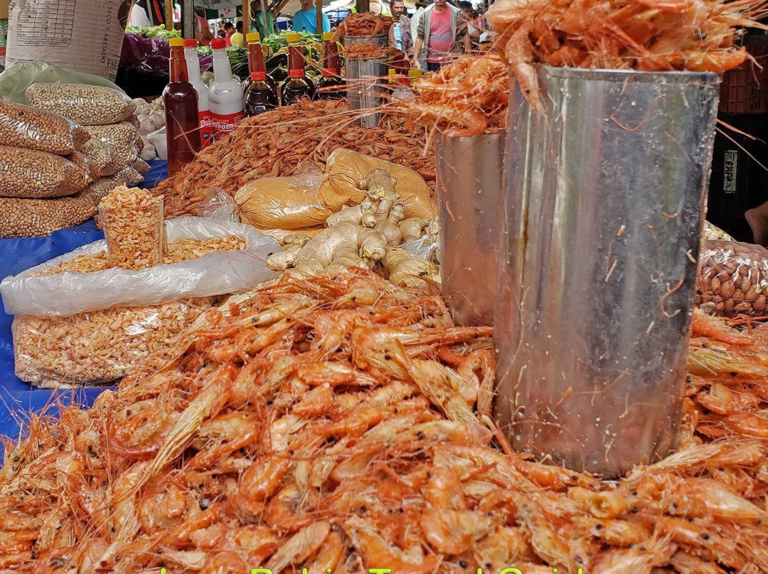 Ivan Bahia Guide-萨尔瓦多必去景点