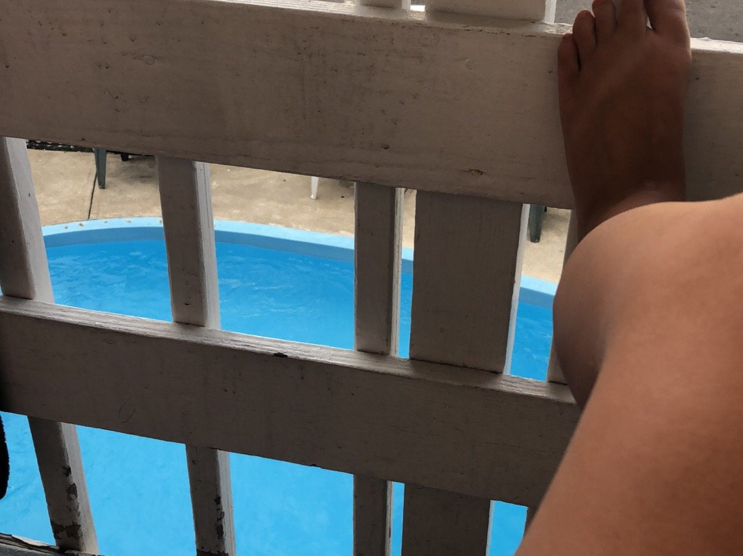 Sea Palace Motel主图