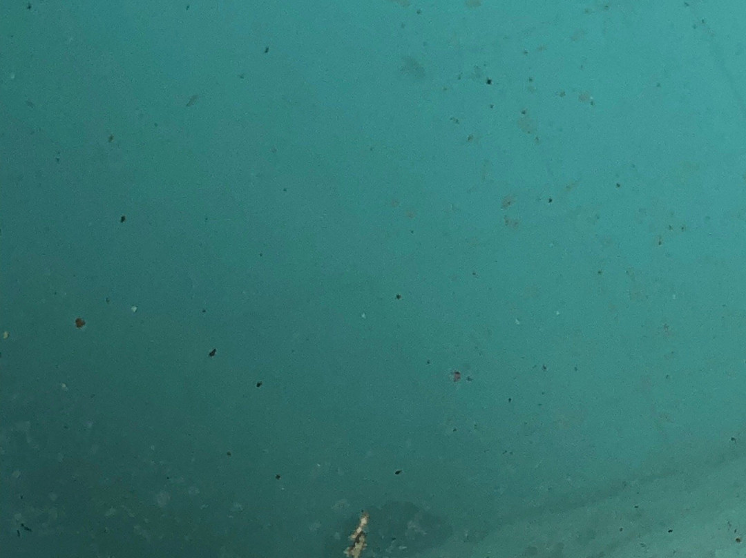 野生海滩度假村主图