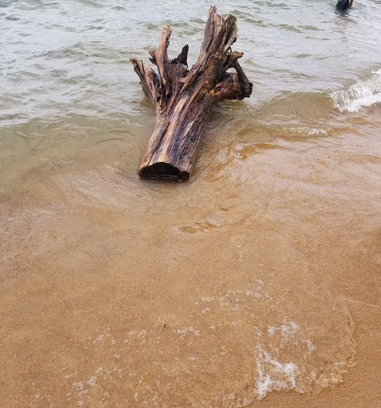 波普海滩-南太浩湖必去景点