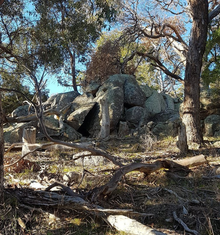 Mount Beckworth Scenic Reserve-Clunes必去景点