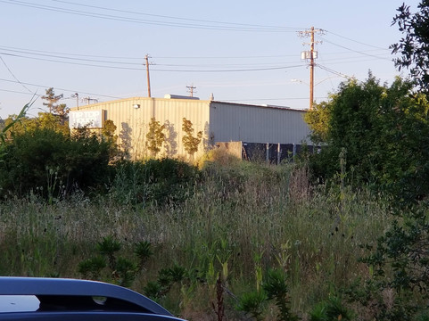 Hotel Trio Healdsburg主图