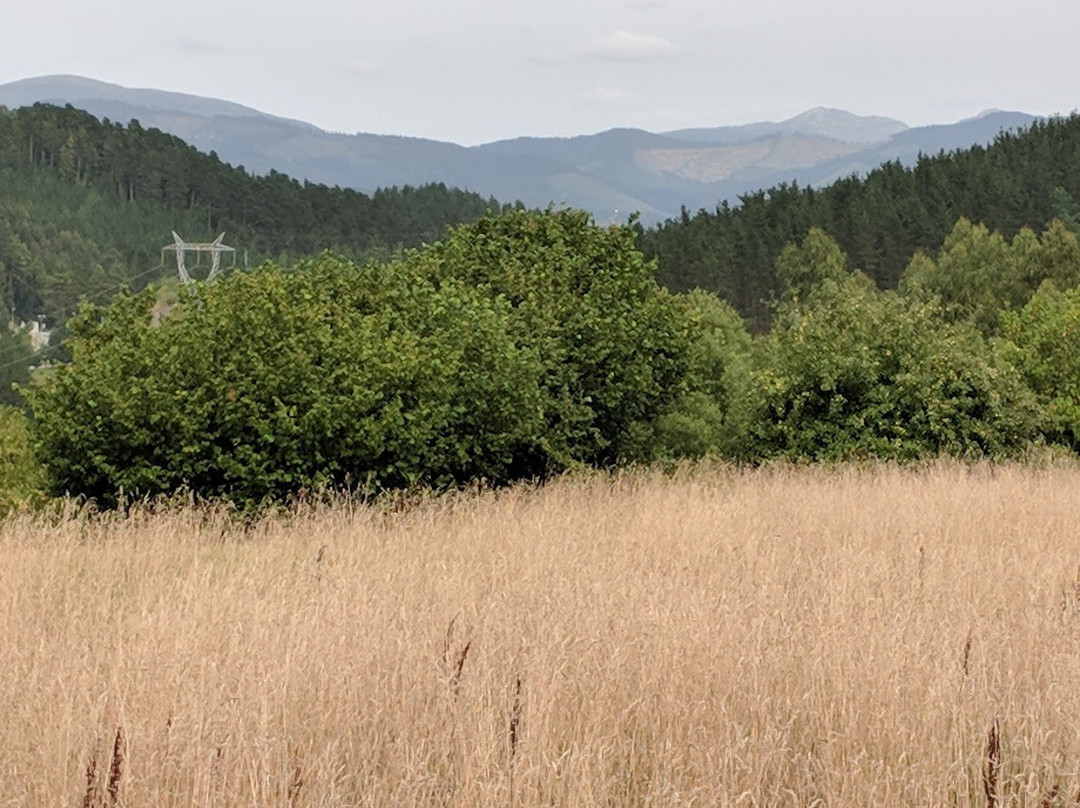 卡特西酒店主图