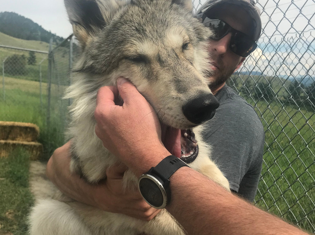 Howlers Inn Bed & Breakfast and Wolf Sanctuary主图