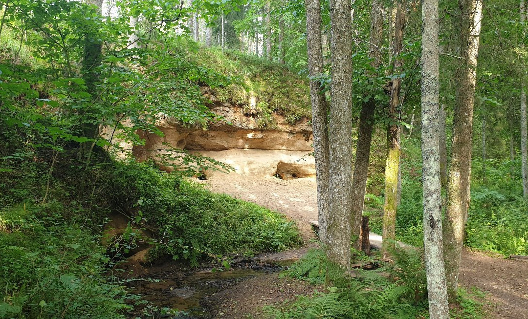 Peldanga labyrinth (Liepniekvalka Caves)景点图片