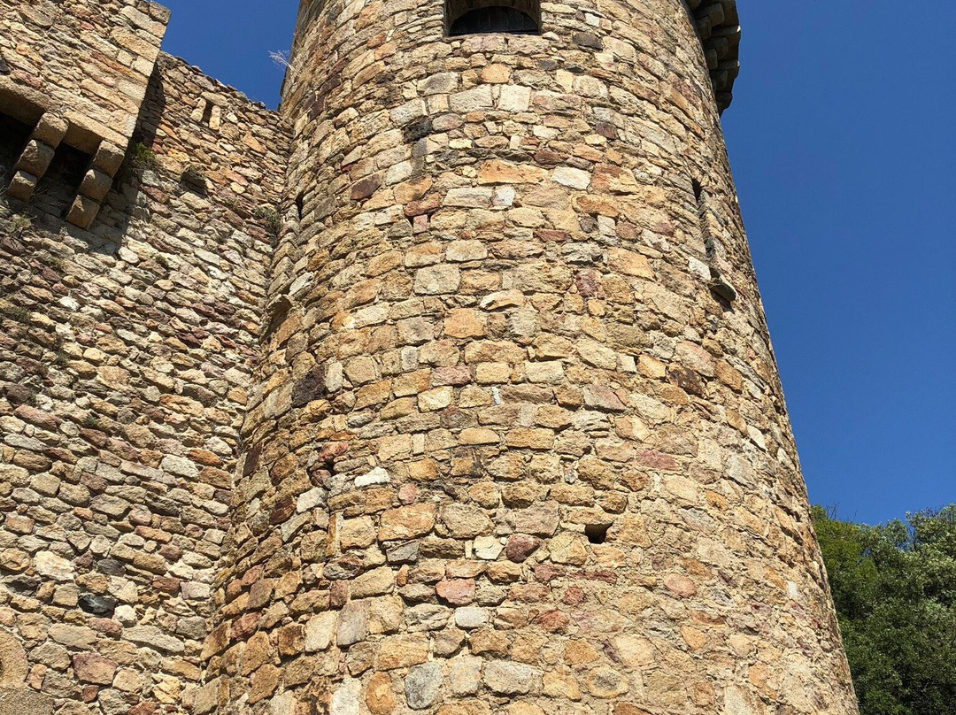 Requesens Castle景点图片