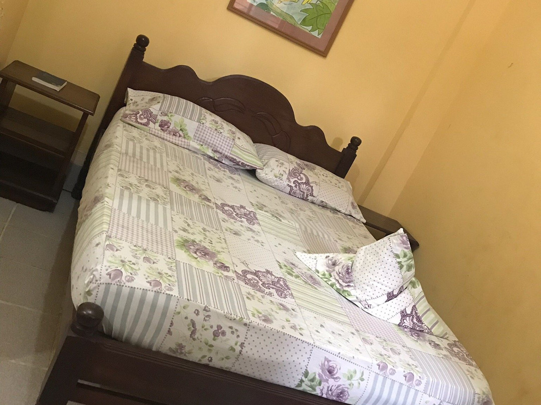 Los Tucanes de Rurre主图