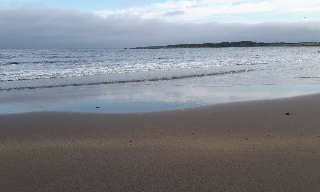 Entente Cordiale Inn主图