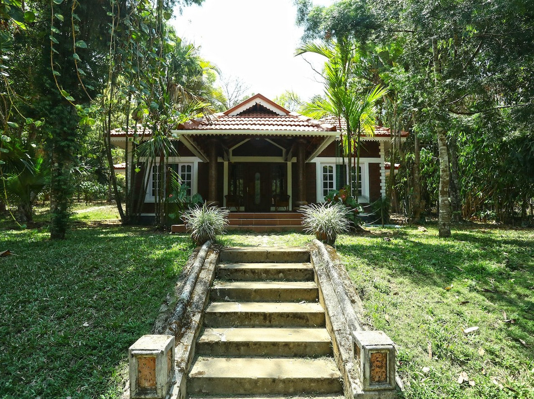 Wayanad Blooms主图