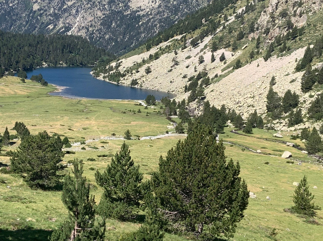 Salvelinus Spain Fly Fishing- Pyrenees景点图片