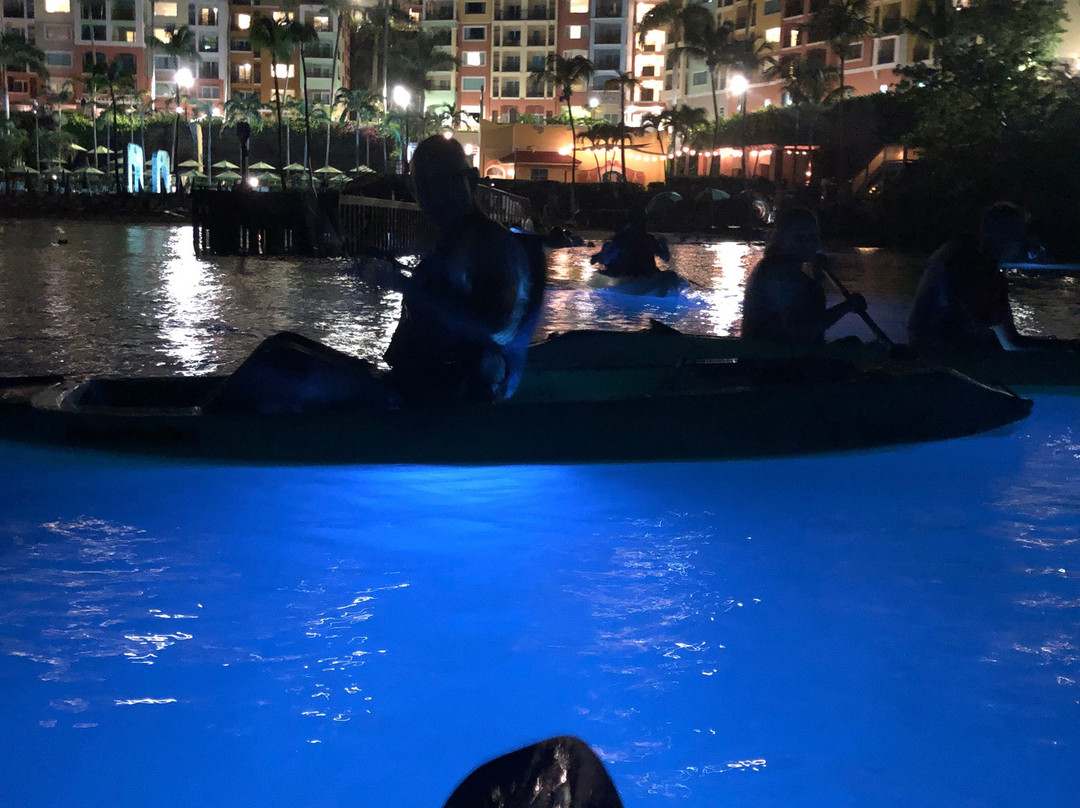 Night Kayak-圣 托马斯必去景点