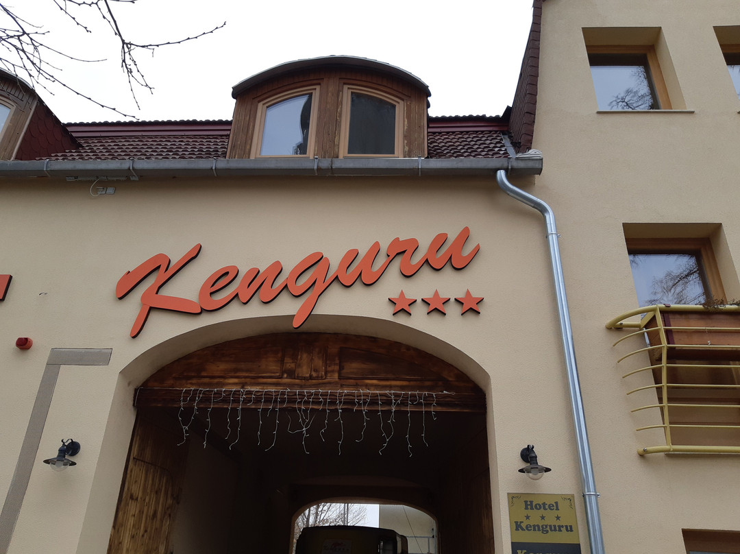 Kenguru Panzio主图