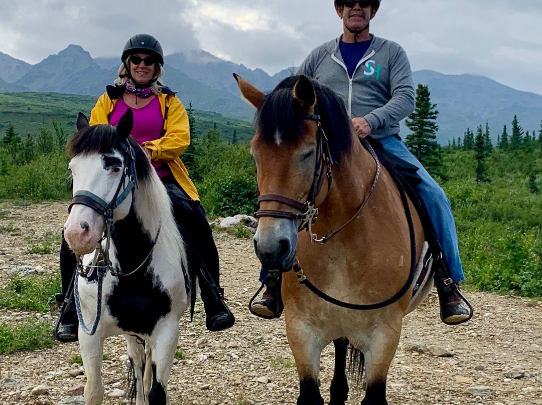 Denali Horseback Tours景点图片