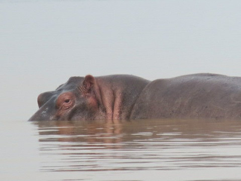 Private Guide and Boat tours-巴哈尔达尔必去景点