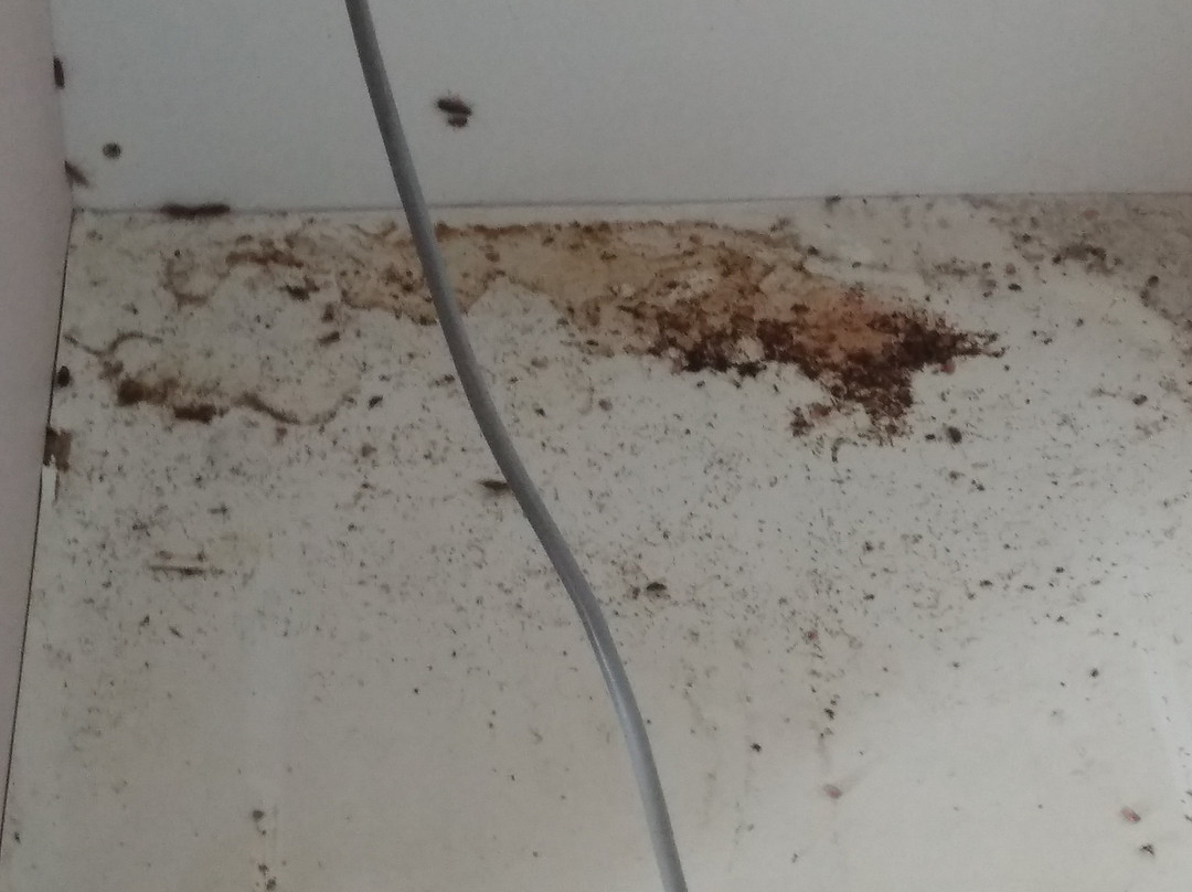 Fairmont Motor Lodge主图