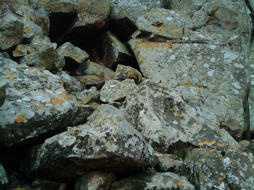 Vredefort Dome-Parys必去景点