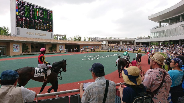 Chukyo Horse Race Track-丰明市必去景点