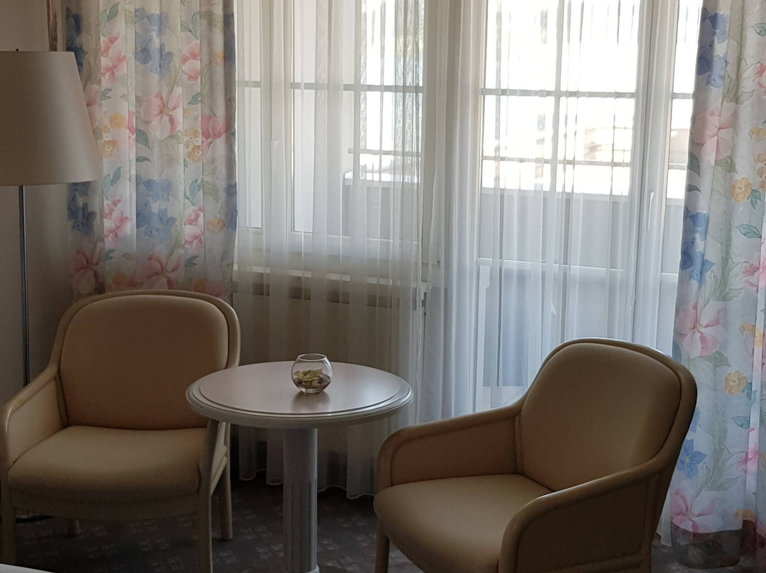 Hotel Winkelried主图