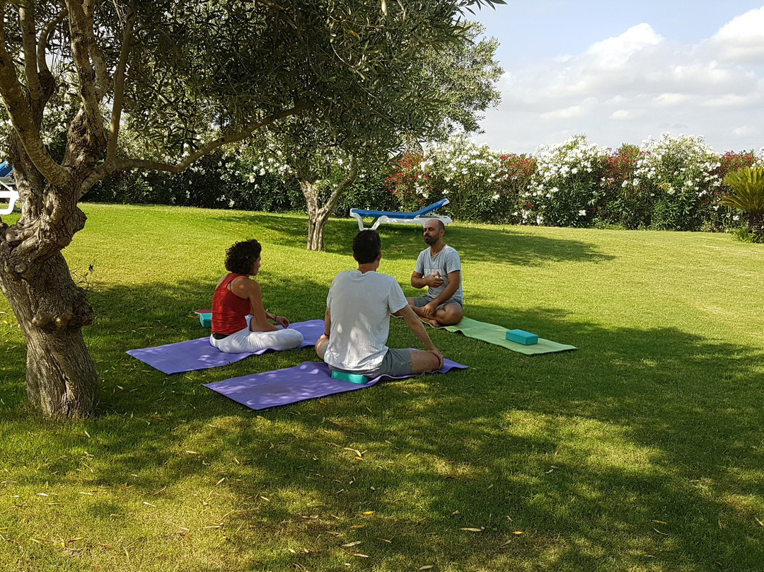 Parampara Yoga & Meditation Retreats in Mallorca景点图片