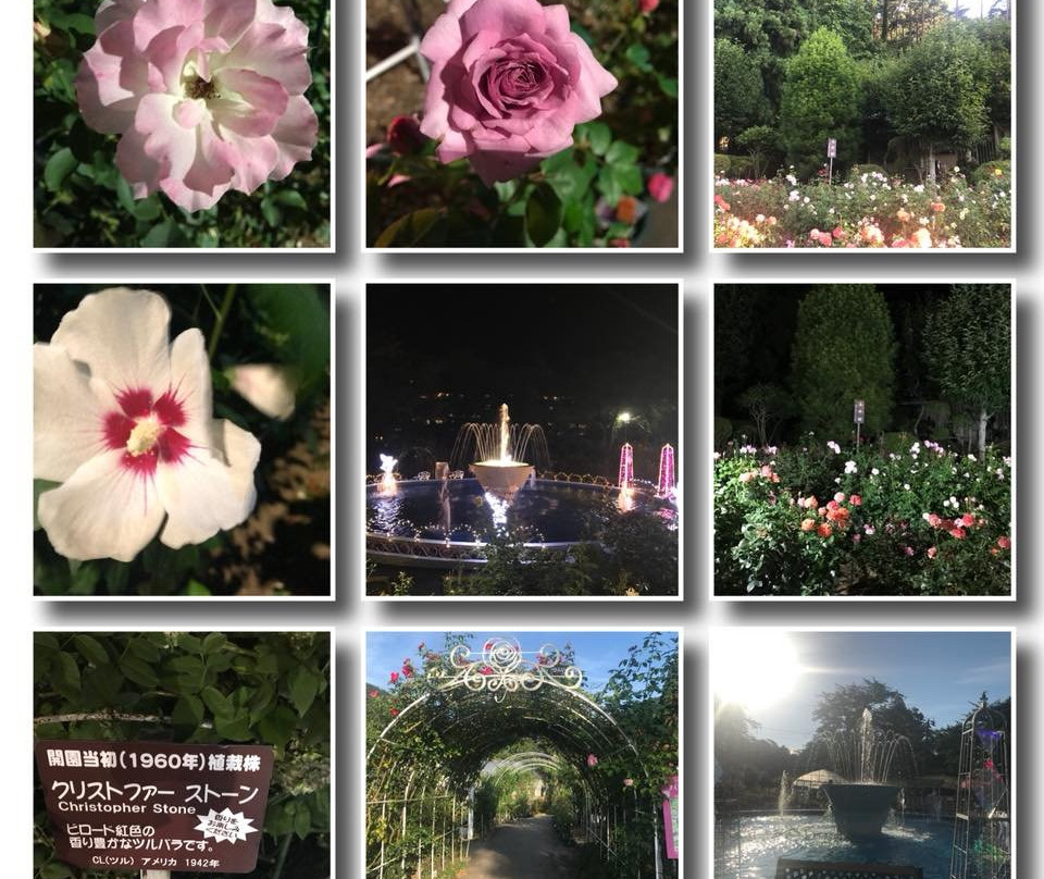 Hanamaki Onsen Rose Garden-花卷市必去景点