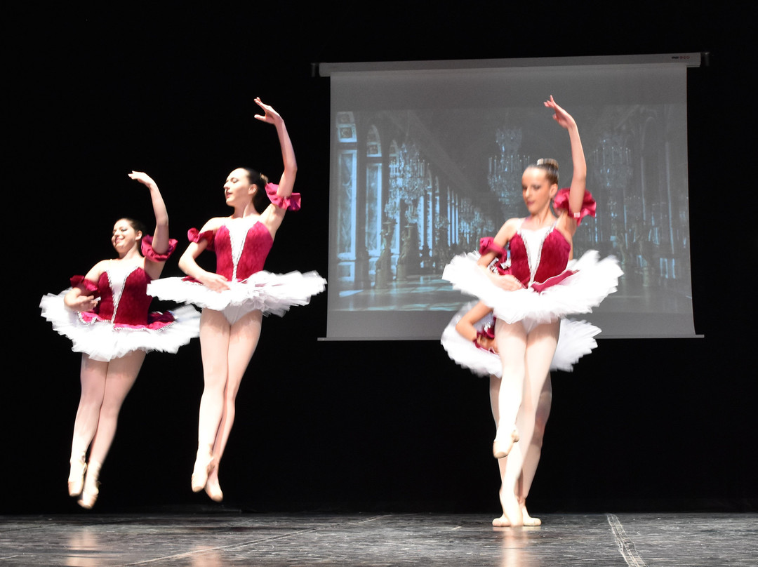 Teatro Municipal de Almagro景点图片